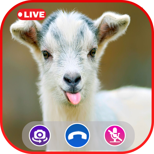 Call Video G Simulator Prank Call Apps Amazon De Apps Fur Android