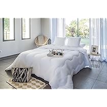 Petti Artigiani Italiani - Warm winterdekbed, 260 x 270 cm, tweekleurig, lichtgrijs, donkergrijs, dubbelzijdig dekbed, dekbed voor tweepersoonsbed, dekbed van microvezel, 300 g/m², gemaakt in Italië