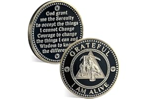 ACGZQY Sobriety Chip - Agradecido I Am Alive Ferryman AA Coin and Medallions Sobriety Coin Coin Recovery Token Con serenity Oray Sobriety Gifts
