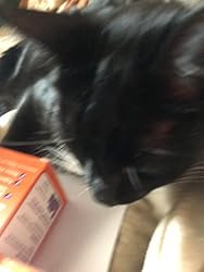 cystease 300 capsules