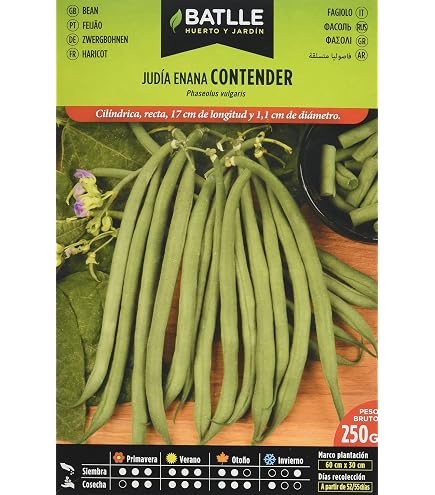 SEMI GARDEN NASTURZIO RAMPICANTE- 10,0 pz