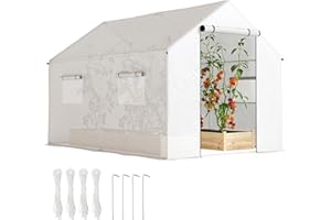 Outsunny Serre de Jardin Tunnel 2 x 3m, 6m² avec Porte Enroulable, 4 fenêtres, - Acier galvanisé PE Haute densité Blanc