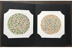 KANEHARA Ishihara's Tests for Colour Deficiency 14 Plates Concise Edition Latest