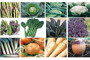 Viridis Hortus - 12 Pack Winter Vegetable Seed Collection - Cabbage Savoy, Kalettes, Cauliflower, Onion, Leek, Parsnip, Kale, Swede...