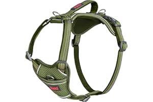 HALTI Anatomy Dog Harness with Handle - Provides Your Dog Freedom of Movement for Comfortable Walking. 3 Lead Attachment Points, Neoprene Padded, Adjustable, and Reflective (Size Large, Green)