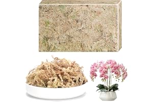 CATELL Sphagnum, Musgo de Esfagno Natural Seco para Plantas, Orquideas, Propagacion de Reptiles y Transplante