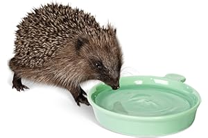 Hedgehog Water Bowl​ - Jacobi Jayne® Hedgehog Water Dish - Weather Resistant, Frost-proof Hedgehog Water Dish -Perfect to Offer Alongside Hedgehog Food