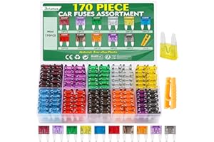 Bolatus 170Pcs Fusibles Coche Mini Pequeños Fusible Coche 2A 3A 5A 7.5A 10A 15A 20A 25A 30A 35A 40A Automóvil Fusible para Coche Moto Caravanas Furgoneta +Fusibles Clip