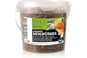 UGF - Premium torkade mjölmaskar - 80 g i en 500 ml hink, insektssnacks för fåglar, hamstrar, igelkottar, gnagare, ödlor, skö