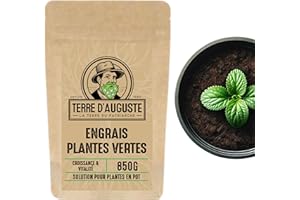 TERRE D'AUGUSTE LA TERRE DU PATRIARCHE DEPUIS 1920 Terre d'Auguste - Engrais pour Plantes Vertes Intérieur - 850G - Fertilisant à Diffusion Lente - Naturel et Biologique - Pour Monstera, Bougainvilliers...