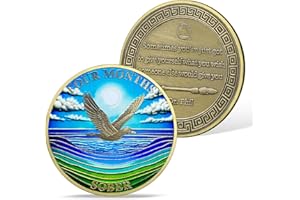 ‎ATSKNSK AtSKnSK 4 Monate Nüchternheits Münze 1-12 Monate Nüchternheits Münze Reborn Sober HA NA AA Genesungssüchtige Chips Medaillons Narkotika Alkoholiker Anonyme Geschenke für Männer Damen (4 Monat)
