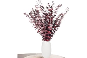 Decoración de eucalipto Aufisi - 22 Piezas de eucalipto seco (43 cm +), eucalipto seco para decoración, Bodas, Accesorios para el hogar, arreglo de Flores secas, Rojo