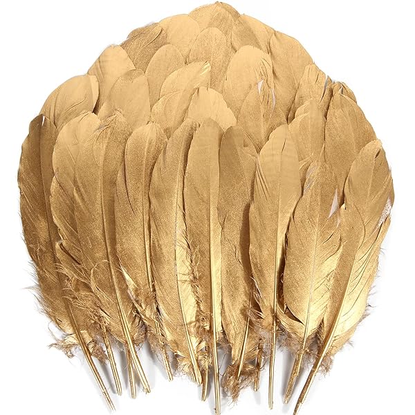 Zakia Ladies natural feather shawl shrug collar collar  display picture 1