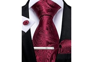 DiBanGu Mens Paisley Tie Formal Silk Tie & Pocket Square Cufflinks Tie Clip for Wedding Party Prom