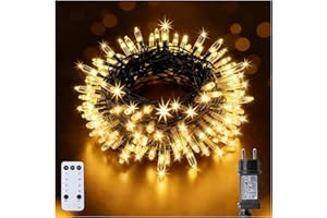 BrightWish Guirlande Lumineuse 10m 100LED avec Alimentation Secteur, Télécommande et Minuterie - Étanche pour intérieur, extérieur, chambre, décoration de mariage, fête, Noël, arbre（Warmweiß）