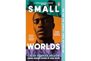Small Worlds: THE TOP TEN SUNDAY TIMES BESTSELLER
