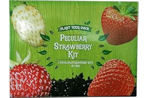 Padgett Bros Peculiar Strawberry Kit Multi 82015