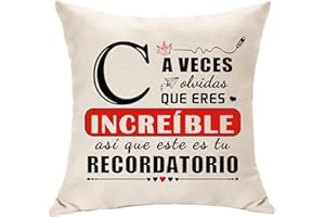 Hasodeo Regalos de Decoración Inspiradores, A - Z Letras de Funda de Cojín Regalos Originales para Mujer Hombre Niñas Niños Familia Amigos Oficina Hogar Funda de Almohada 45x45 (C)