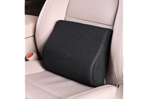 Livtribe Lumbar Support Pillow for Car,Memory Foam car back support,Mid/Lower Back Support Cushion for Car Seat (Black)