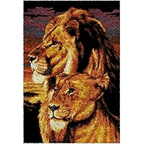 Knooppakket om zelf een tapijt te knopen, set met knoophaak, knooptapijt, geknoopte kussenovertrek, dhz-knooppakket, voor woondecoratie, voor volwassenen, 69 x 102 cm, Tijger