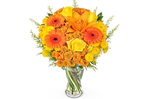 PRESTIGEFLOWERS Prestige Flowers - Celebration Delight- Flowers - Fresh Bouquet - Birthday Flowers - Flowers Next Day - Thank You Flowers - Anniversary Flowers Wedding Flowers - Wedding Gifts - Fresh Cut Flowers