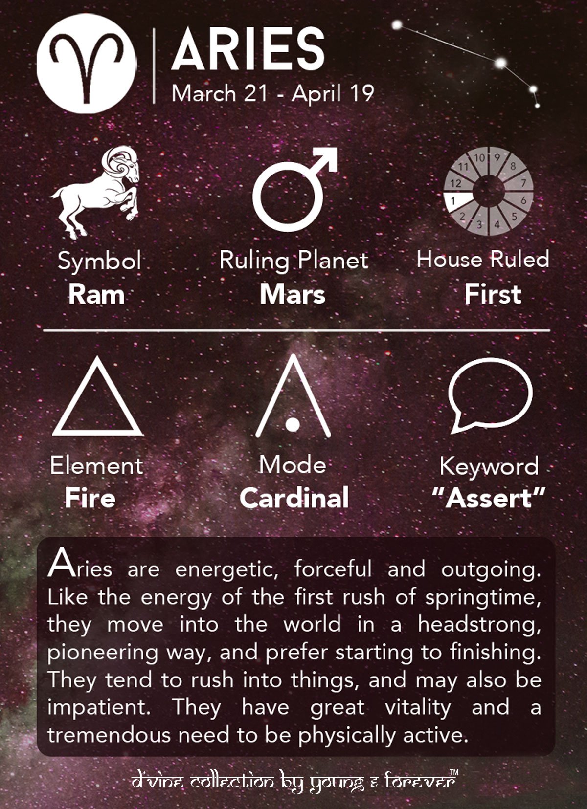 Young & Forever Valentine Gift rakhi gift for sister rakhi gift for brother friendship day gift for best friend Valentine Gifts for Girlfriend Valentine Gift for Boyfriend Love 12 Constellation Zodiac Sign Good Luck Handmade Black Genuine Leather Unisex Bracelet - Image 8