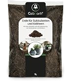 Compo CACTEA Sukkulentenerde mit 8 Wochen Dnger, 10L