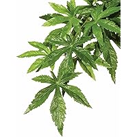 Exo Terra Regenwaldpflanze Abutilon groß