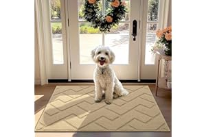 Biscpro Door Mat, 80x100 cm DoorMat Indoor Washable, Doormat Indoor Dirt Trapper Non-slip,Absorbent Inside Entrance Rug Mat for Entryway,Patio,Garden,Laundry Room,Pets - Beige