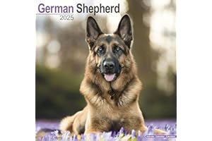 German Shepherd 2025 Square Wall Calendar | Dog Breed Calendar