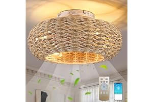 MIIR Ventilatore Da Soffitto Con Illuminazione Rattan E27 Luce Con Ventilatore Con Telecomando Silenzioso 6 Velocità Del Vento Timer Reversibile Lampadario Con Ventilatore Per Soggiorno Camera Da Letto
