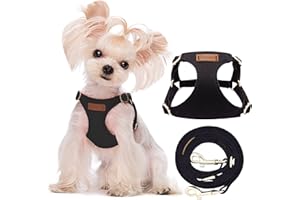 Puppytie Pettorina per Cani di Piccola Taglia - Guinzaglio per Cani Multifunzione, Leggera, Morbida, Regolabile, Senza Soffocamento, a Prova di Fuga per Animali Domestici - Nero, XS, 2-5 kg