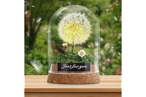 Pavlleen Wunschblume -Echte Pusteblume im Glass, Deko Geschenke im Glas, Blumen Geschenk, für Frauen, Freundin, Mädchen,Ewig Geburtstagsgeschenk,Valentinstag,Hochzeit Geschenkidee
