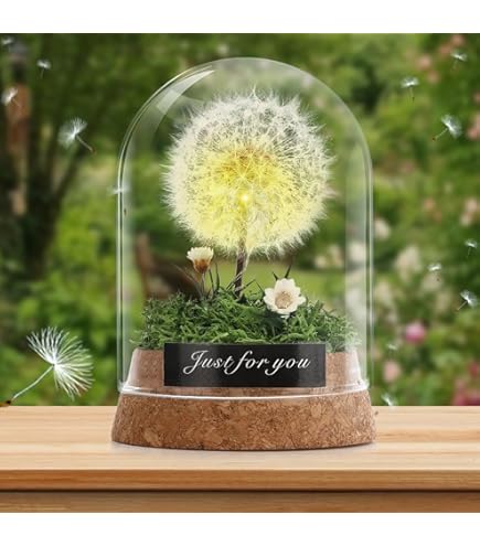 Pusteblume Im Glas Mit Engel - Magisches Geschenk Für Besondere Frauen