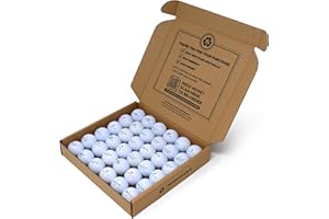 Second Chance Top Flite Assorted Lake Golf Balls Grade A