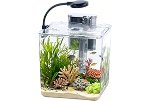 BEGONDIS 5L Starter Fish Tank Kit, 18 * 18 * 18CM Mini Plastic Aquarium with LED Light & USB Filter, DIY Aquascape for Small Betta Fish