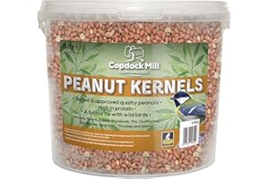Copdock Mill Peanuts for Wild Birds - Peanut Kernels Bird Feed 5L Tub - High In Energy, Protein Rich Wild Bird Peanuts - Bird Seeds for Small Garden Birds