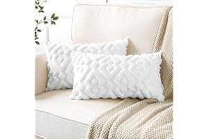 Artscope Juego de 2 Fundas de Cojines de Terciopelo Cojines de Sofá Funda de Almohada Decorativo Suave para Sofá Dormitorio Oficina Salón Geométrico Blanco Puro, 30x50cm