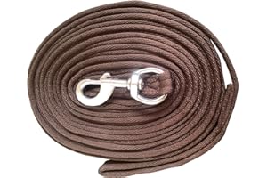 Avon Equine Rênes en nylon pour chien et cheval - 2,5 cm de large - Laisse d'entraînement souple - Corde de traction