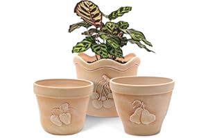 ZMTECH Plant Pots with Drainage Holes, 17.5/19/21cm Concrete Look Plastic Flower Pots with Fruit Pattern for Indoor Outdoor Planter (Set of 3, Terracotta Red)
