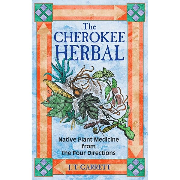 Beyond Biofeedback : Elmer Green, Alyce Green: Amazon.in: Books