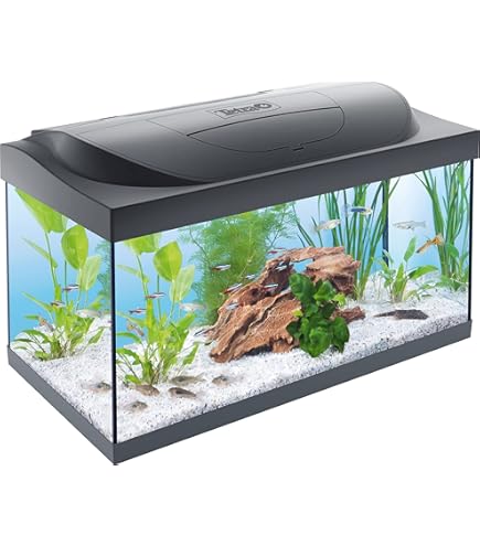 Animal Well Base JBL AquaPad 80x40cm Para Acuarios Y Terrarios - Protección Extra Para Tu Ecosistema Altavoces Hifi Jbl - Foto 8