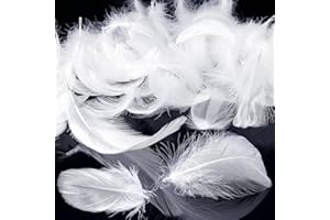 Mbsomnus 600 Stück Federn zum Basteln Weiß Federn Natürliche Feder Deko Bastelfedern für DIY Handwerk Traumfänger Ohrringen Federblumen Kopfschmuck Hochzeit Party Weihnachten Dekoration