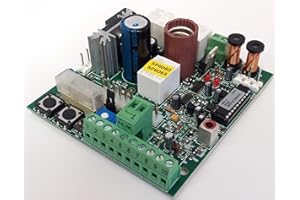 SCONOSCIUTO Nice SPA20 placa electrónica central control para SPIDER SP6060 SP6065