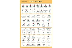 SPORTAXIS Poster de pose de yoga - 64 asanas de yoga pour un entraînement complet du corps - Poster laminé d'entraînement à domicile avec illustrations colorées - Noms anglais et sanskrit