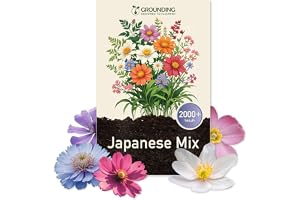 Grounding - Frön till japansk blomsterängsmix, 2000+ frön, höjd max 30 cm - blomning i många färger - Idealisk för rabatter o