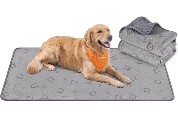 Feandrea Tvättbar Valpdyna, Vattentät, 3 Lager, 2-Pack | Halkfri Återanvändbar Hunddyna, 100 x 70 x 0,2 cm, för Soffa och Bil, Grå, Basco Kollektion PTD008GD01