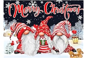 CEOVR Diamond Painting Kit Completo Feliz Navidad Cuadros Diamantes ​5D,Gnomo Pintura Diamante 5D 30x40 cm,Pintura de Diamantes,Diamond Painting Kit para Adultos Niños,Decoración Hogareña