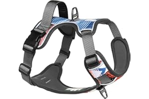 EMBARK PETS Embark Urban Dog Harness, No Pull Dog Harness with 2 Leash Clips, Dog Harness for Medium Dogs anti pull dog harness Front & Back with Control Handle, Adjustable, Soft & Padded |Puppy Harness|