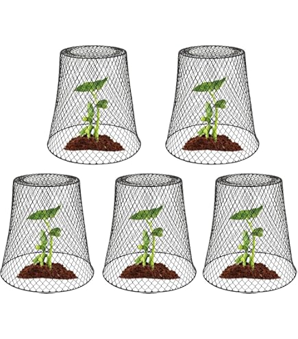 Pflanzenschutz Netzhaube - Faltbarer Pflanzenschirm 43x43 Cm